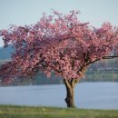 해원민박 이미지