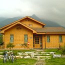 최문석 카카오 검색결과