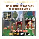 8월 테마가 있는 책놀이터 : 신나는 여름 | 대구 근교 아기랑 갈만한 곳 TOP 3 (2) /그냥 가면 손해, 책 한 권으로 2배 효과(12~36개월)