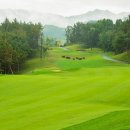 영동 일라이트CC 이미지