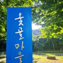 김선생의 인문학 역사 산책 | 대구 여행ㅣ초여름 돌담길 힐링 산책, 400년 한옥마을 '옻골마을' 완벽 가이드