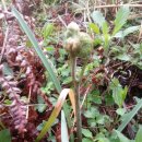 종달초등학교 동창 모임 이미지