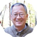 부모애숲 이미지