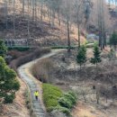 하동공원길 이미지