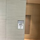광교-살롱에이 광교점에서 베이직 모발 클리닉 후기!