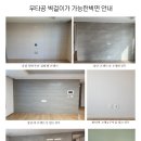 티오피시그니쳐 이미지