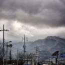 주천면 벚꽃길 이미지