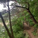 소양강둘레길 3코스 이미지