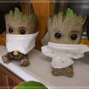 다인로얄팰리스배곧5차(배곧로얄팰리스5차) 이미지