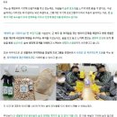 지원이엔씨주 이미지