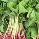 늘갓농장 이미지