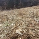 매수농장 이미지