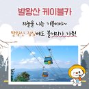 발왕산 관광케이블카 코스 이미지