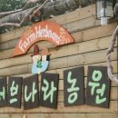 허브나라 자작나무집 이미지
