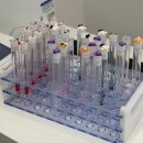 아이쁘다 속눈썹펌&연장 안산점 | 안산 개인 맞춤 컬 모양 가능 속눈썹펌 및 연장,왁싱 가능한 "앙벨리르"