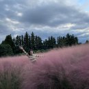 심달기 카카오 검색결과