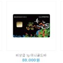 한국돈거래소 이미지