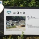 수성대민박 네이버블로그