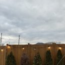 잭큐몬티562 이미지