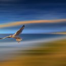 날마다좋은날 이미지