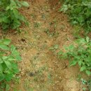 두레전자 이미지