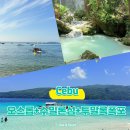 휴앤호텔 | 세부 오슬롭고래상어 + 투말록폭포 + 수밀론섬 단독투어 후기 세부 첫날코스 세부베스트추천여행지