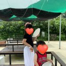 이마트24(거제남서로점) 이미지