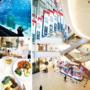 국내 첫 상륙 브랜드, 아쿠아리움 수중터널… 어디부터 둘러볼까? 이미지