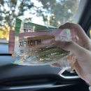 쵸코네묭실 | 분당애견미용 쵸코네묭실 추천,내돈내산 말티즈 베이비컷 대만족