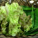 대평리시장 이미지