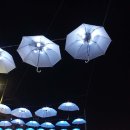 증산2교밑 | [한국도로공사] 취약 아동 지원 걷기챌린지