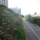 초급반 서예교실 이미지