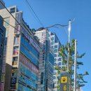 부경대학교 농구장 네이버블로그