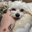 우리들동물종합병원 이미지