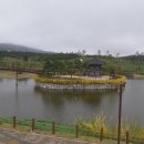 알펜시아 700 골프클럽 이미지