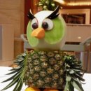 부엉이푸드 이미지