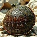 고대1122 이미지