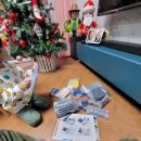 보쉬카센타 이미지