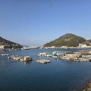파랑새펜션 네이버블로그