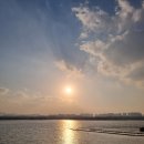 미사8단지정육점