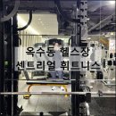 찾아가는 요가 | 센트리얼 휘트니스 옥수동 헬스장 요가 골프장 운동 솔직 후기