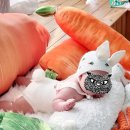 2023/02/21 육아 100일째(+화이트스튜디오 촬영)