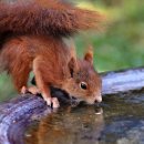 혁신도시중앙공원 이미지