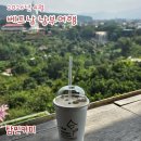TAM COFFEE(탐커피)