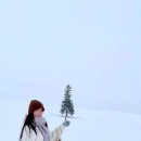 여행 2 여행 한 그릇 비에이 투어, 크리스마스트리, 세븐스타나무, 켄과 메리의 나무, 탁신관 자작나무...
