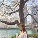 루샤르 이미지