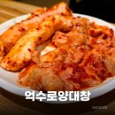 가락동 모임 추천 억수로양대창 대창 막창 솔직후기 내돈내산 포함