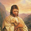예수 이미지
