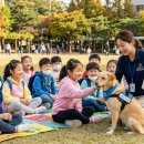 성남사랑약국 이미지