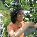 김상기농장 이미지